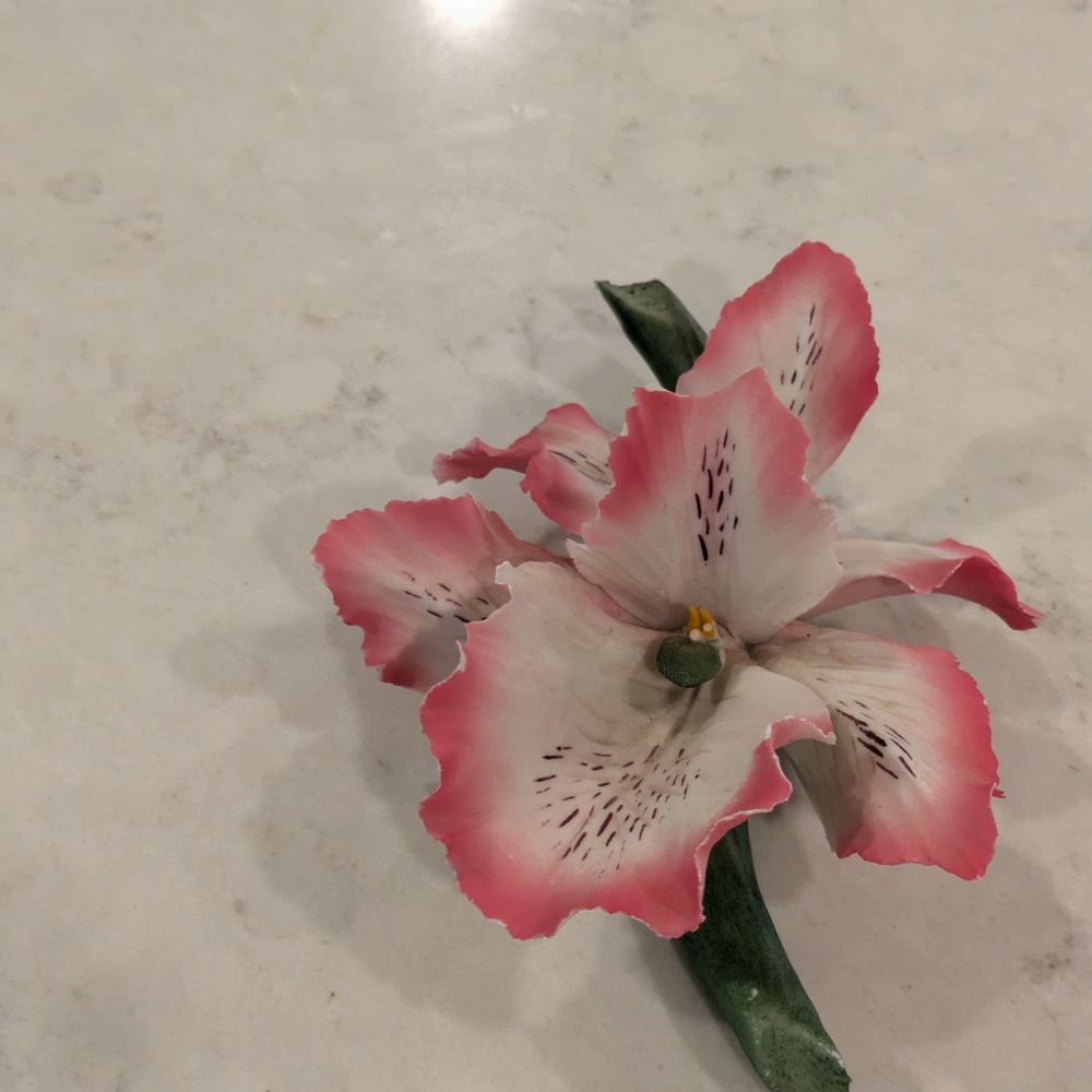 Vintage Capodimpnte Italy Porcelain Orchid Fi 6.5"